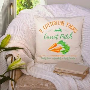 5 Pillow Farmhouse Covers